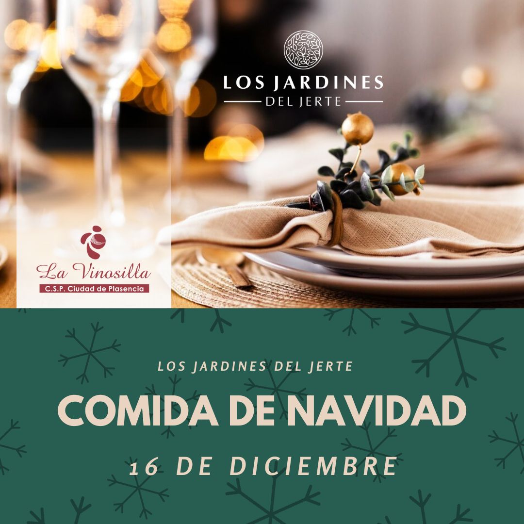 En este momento estás viendo COMIDA NAVIDAD