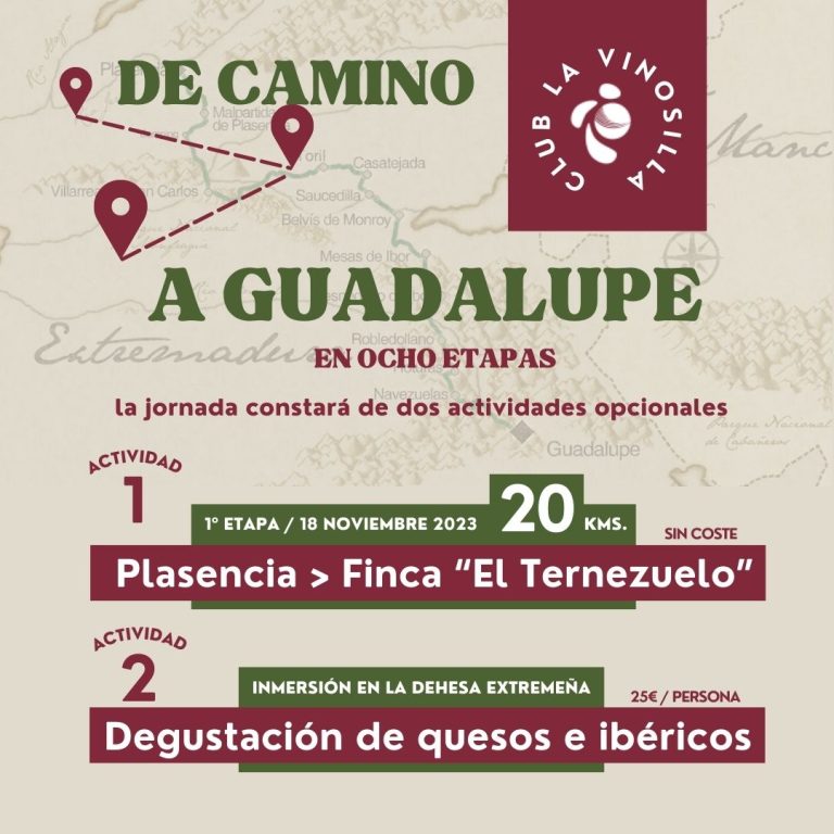 Lee más sobre el artículo DE CAMINO A GUADALUPE